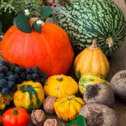 Bild mit herbstlichen Gemüsen, Früchten und Nüssen, u.a. verschiedenfarbige Kürbise, rote Beete, Trauben und Walnüsse.