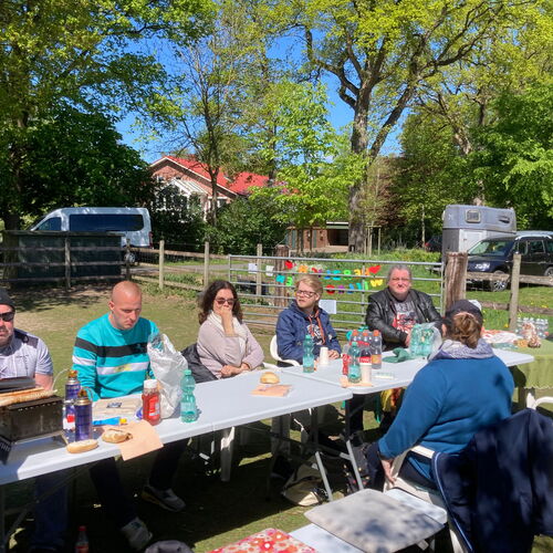 Eine Gruppe von Freunden genießt ein Picknick im Freien an einem sonnigen Tag, umgeben von Bäumen.