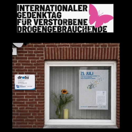 Fenster mit Gedenktafel und Sonnenblume zum Internationalen Gedenktag für verstorbene Drogengebrauchende.