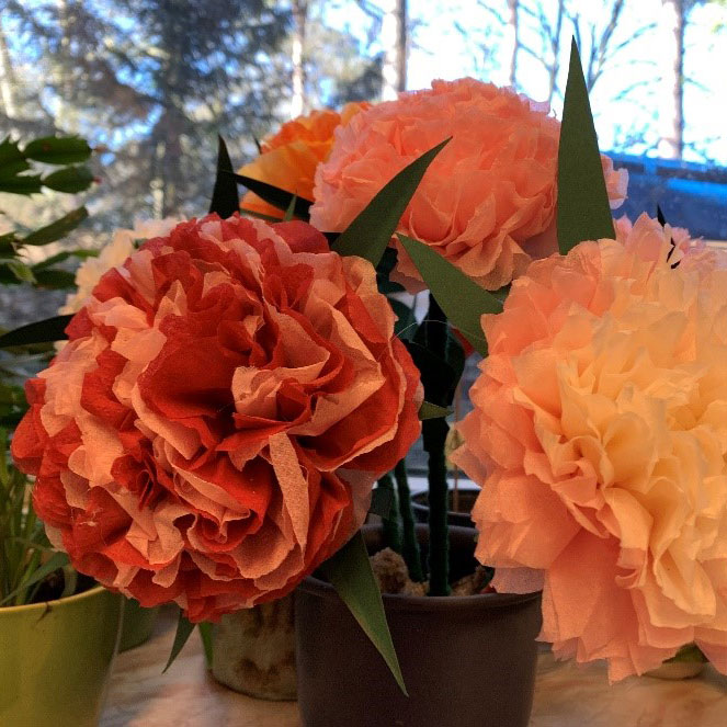 Blumenbild