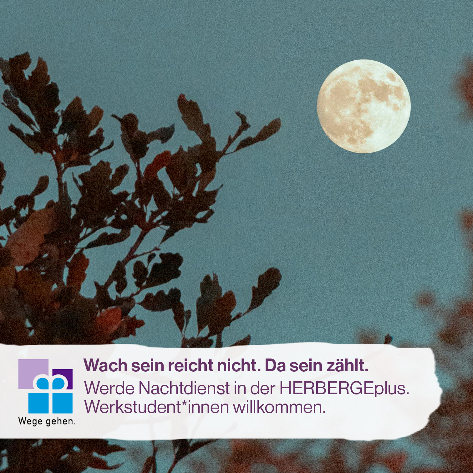 Nachthimmel mit Vollmond, davor Banner mit Hinweis auf Vakanz im Team Nachtdienst