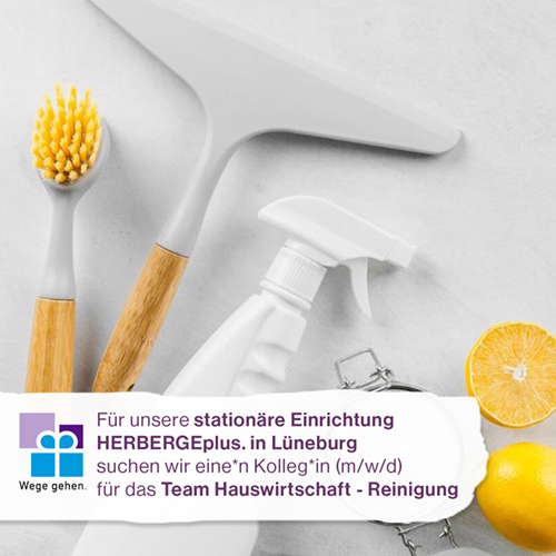 Reinigungsutensilien