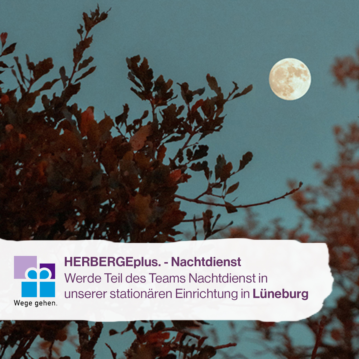 Nachthimmel mit Vollmond, davor Banner mit Hinweis auf Vakanz im Team Nachtdienst